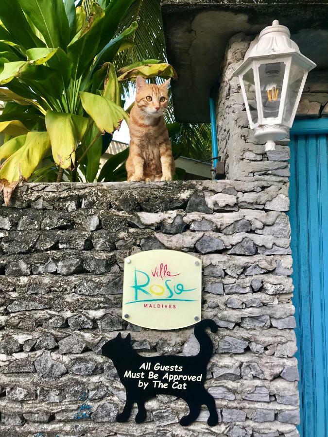 Villa Rosa Maldives Feridhoo 외부 사진